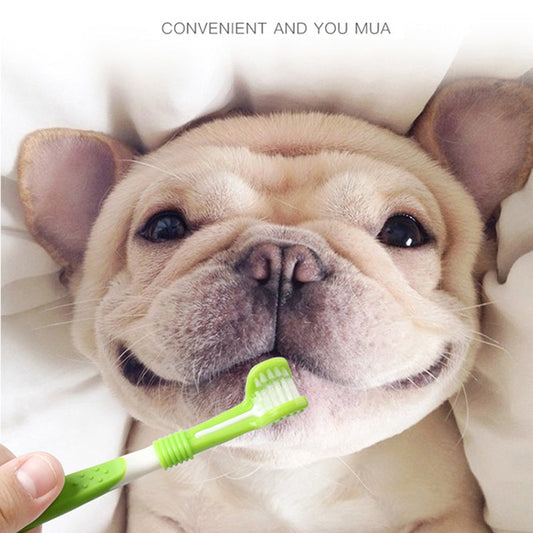 KFX-1379133 Triple-Head Pet Silicone Finger Toothbrush Kit for Gentle Dog Dental Care