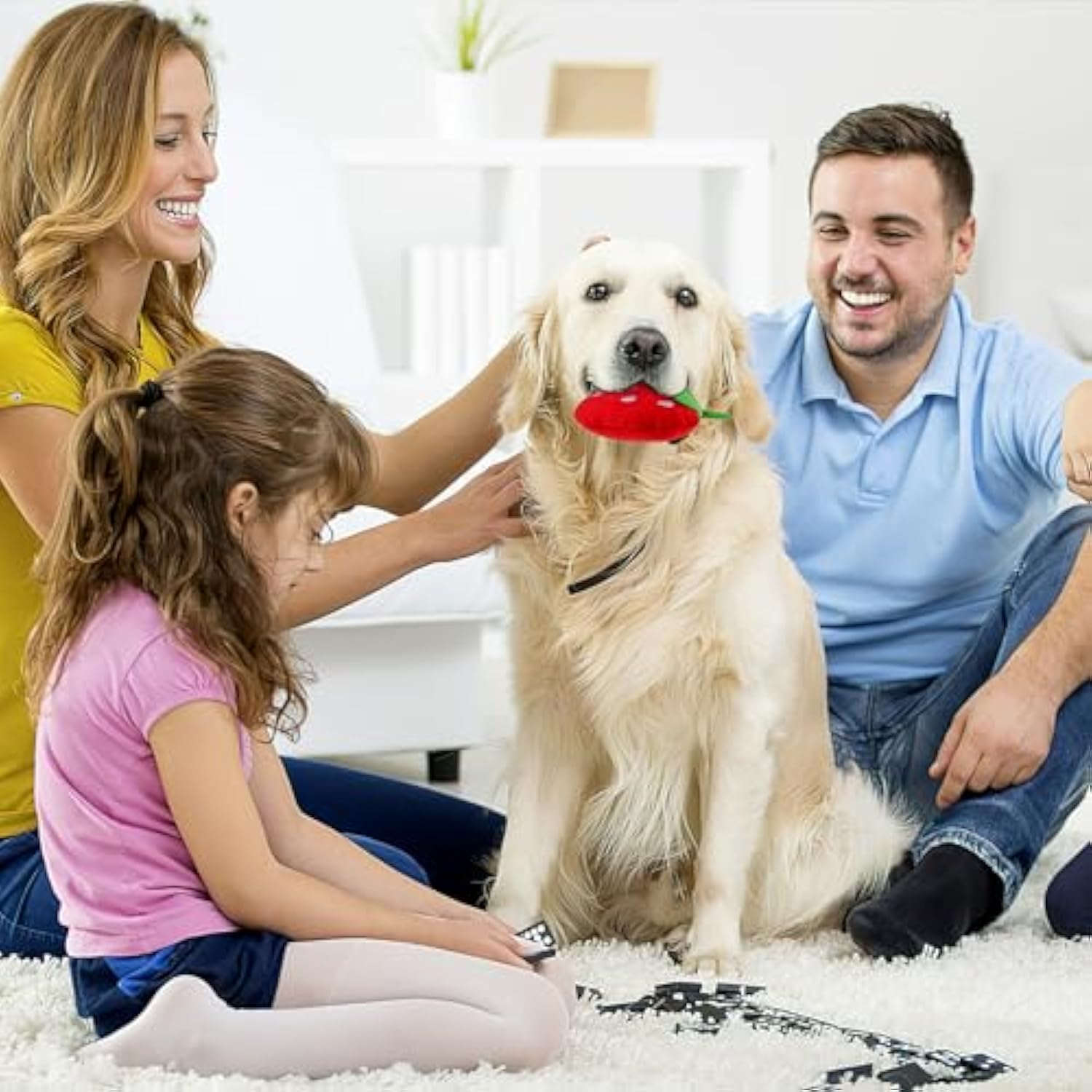 KFX-1384509 Soft Strawberry Plush Squeaky Toy for Dogs - Interactive Chew Toy for Teething and Playtime Fun