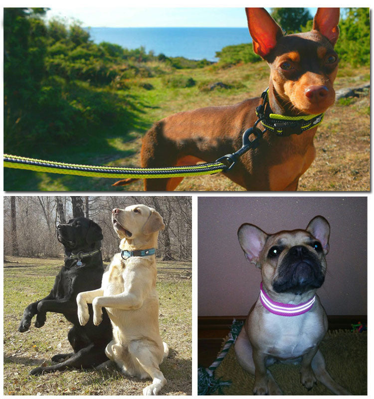 KFX-1394749 Breathable Mesh Pet Collar with Reflective Nylon - Various Colors and Sizes