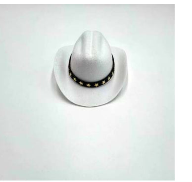 KFX-1403325 Stylish Five-Pointed Star Cowboy Hat for Pets in Various Colors