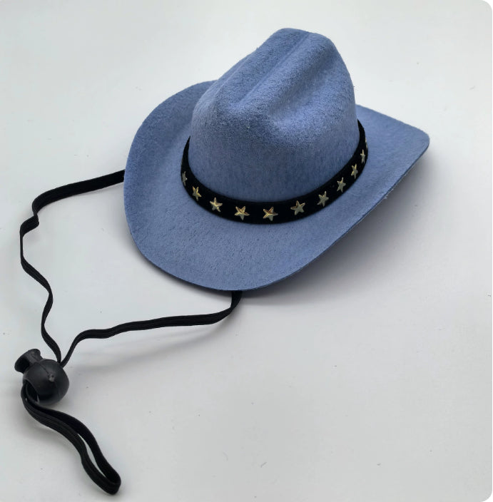 KFX-1403325 Stylish Five-Pointed Star Cowboy Hat for Pets in Various Colors