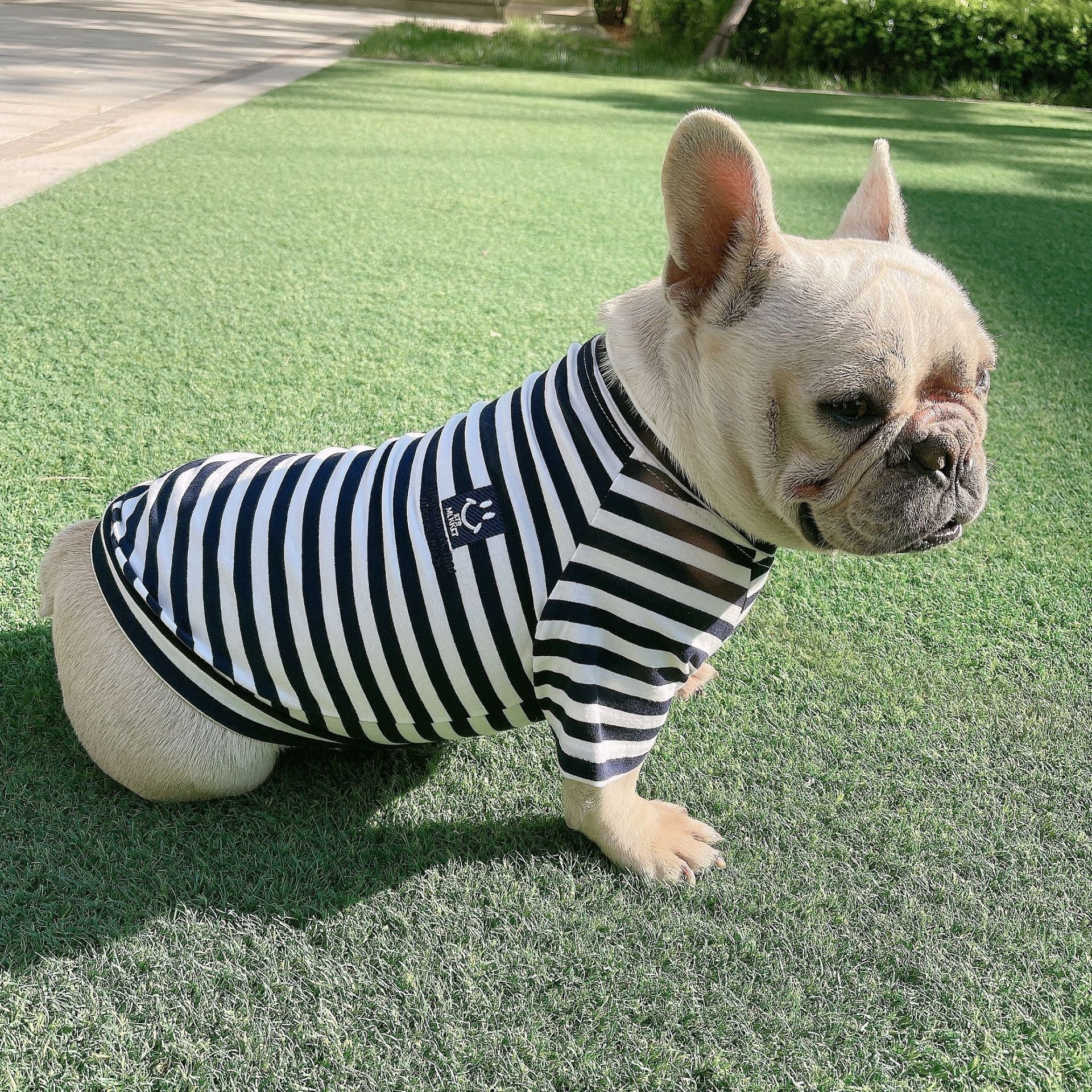 KFX-1403581 Bipedal Striped Modal Cotton T-Shirt for Small Dogs and Cats - Parent-Child Matching Outfit