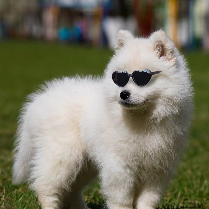 KFX-1405885 Colorful Doll Sunglasses for Pets - Various Styles Available