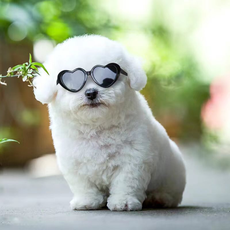 KFX-1405885 Colorful Doll Sunglasses for Pets - Various Styles Available