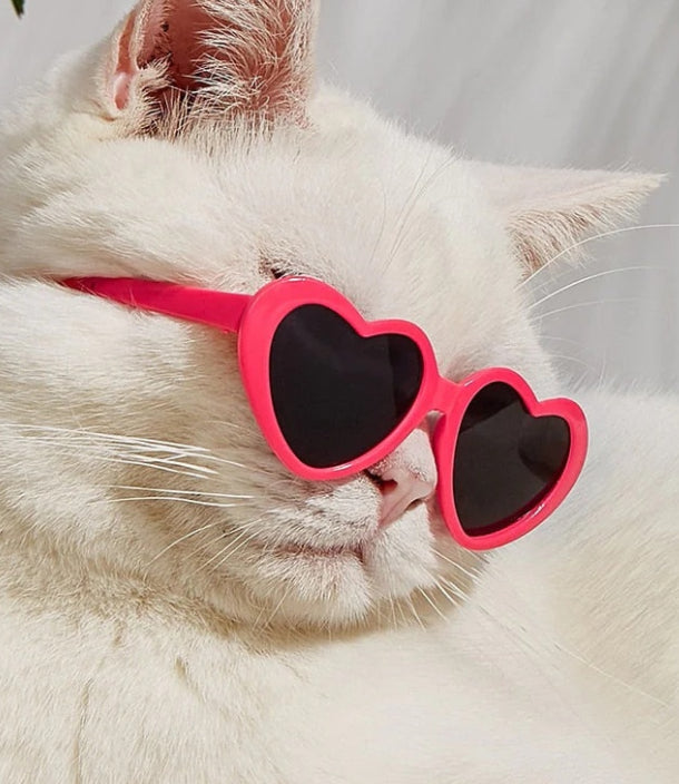 KFX-1405885 Colorful Doll Sunglasses for Pets - Various Styles Available