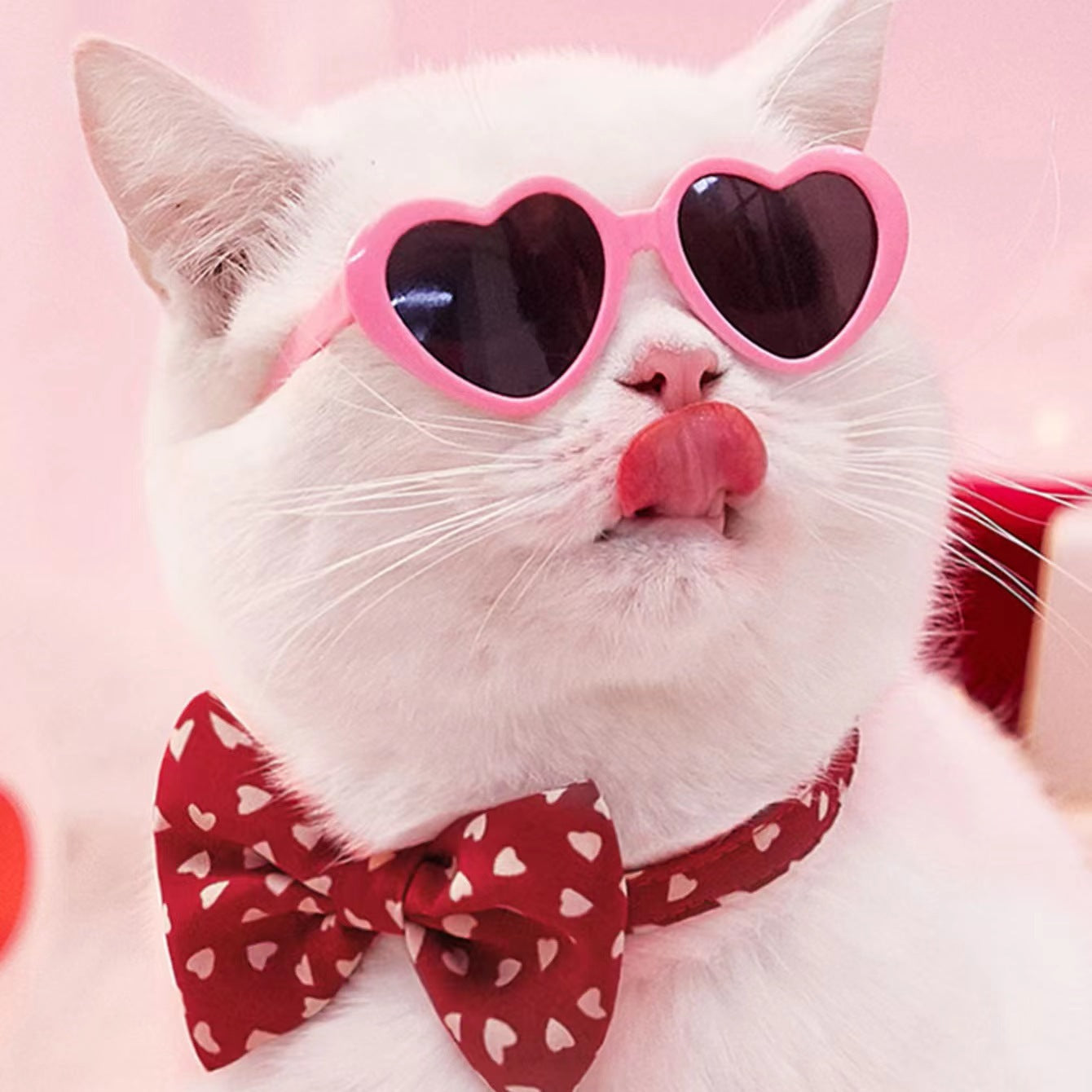 KFX-1405885 Colorful Doll Sunglasses for Pets - Various Styles Available