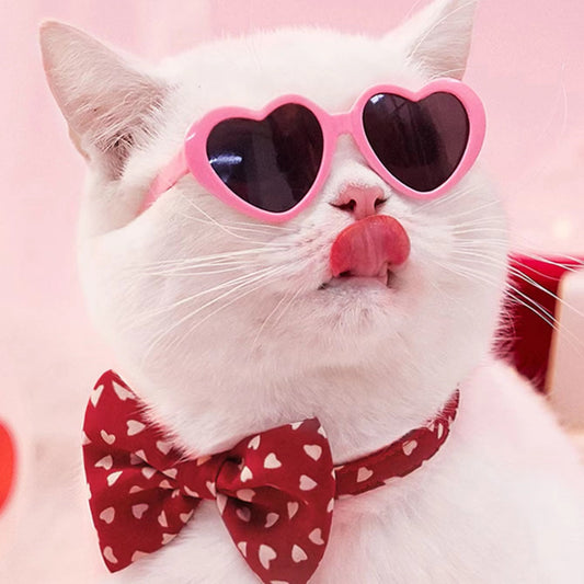 KFX-1405885 Colorful Doll Sunglasses for Pets - Various Styles Available