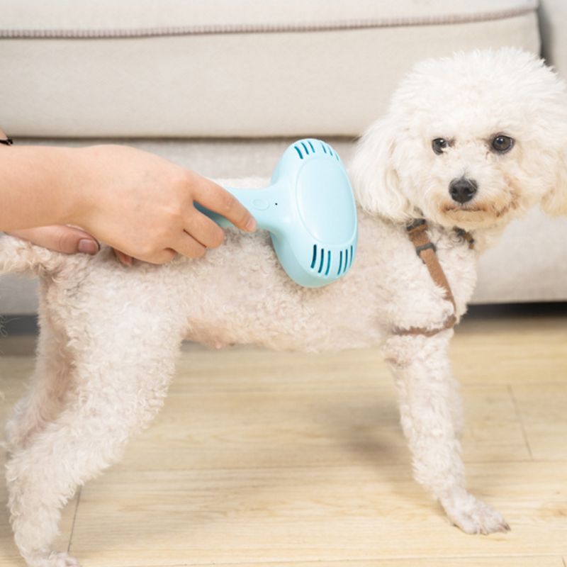 KFX-1409853 Pet Hair Removal Comb - Plastic Grooming Brush in Blue and Pink for Easy Cat Hair Cleanup