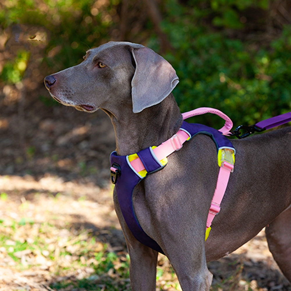 KFX-1413309 Reflective Dog Training Vest with Chest Strap in Barbie Pink, Grape Purple, and Wine Red