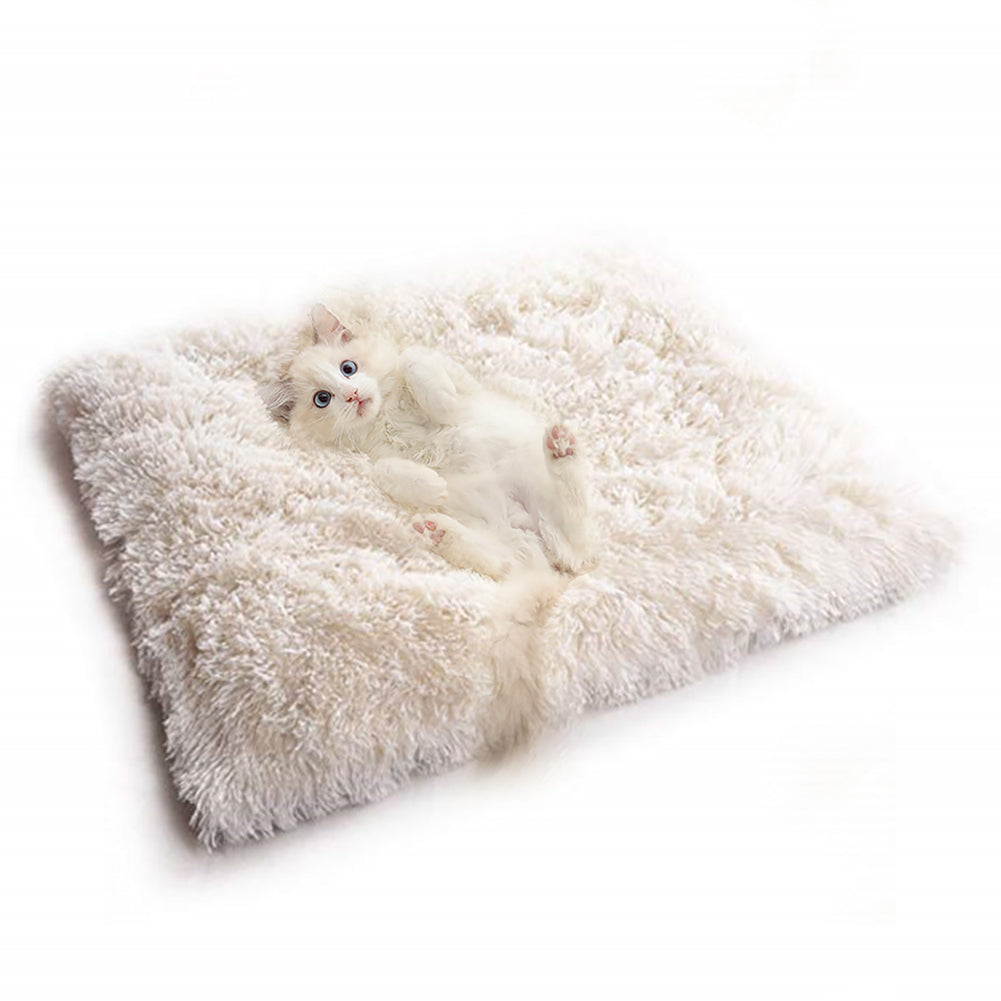KFX-1414077 Cozy South Korean Velvet Cat Bed with Soft Cushion in White and Grey, 61x51CM