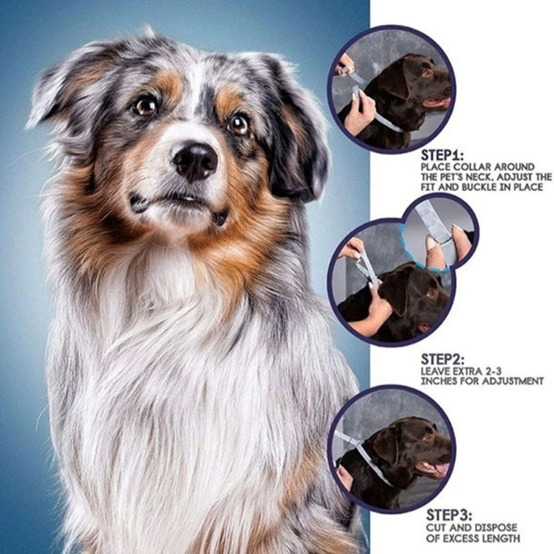 KFX-1421757 Rainbow Pet Flea and Anti-Lice Collar for Cats and Dogs - 38CM and 62CM Options