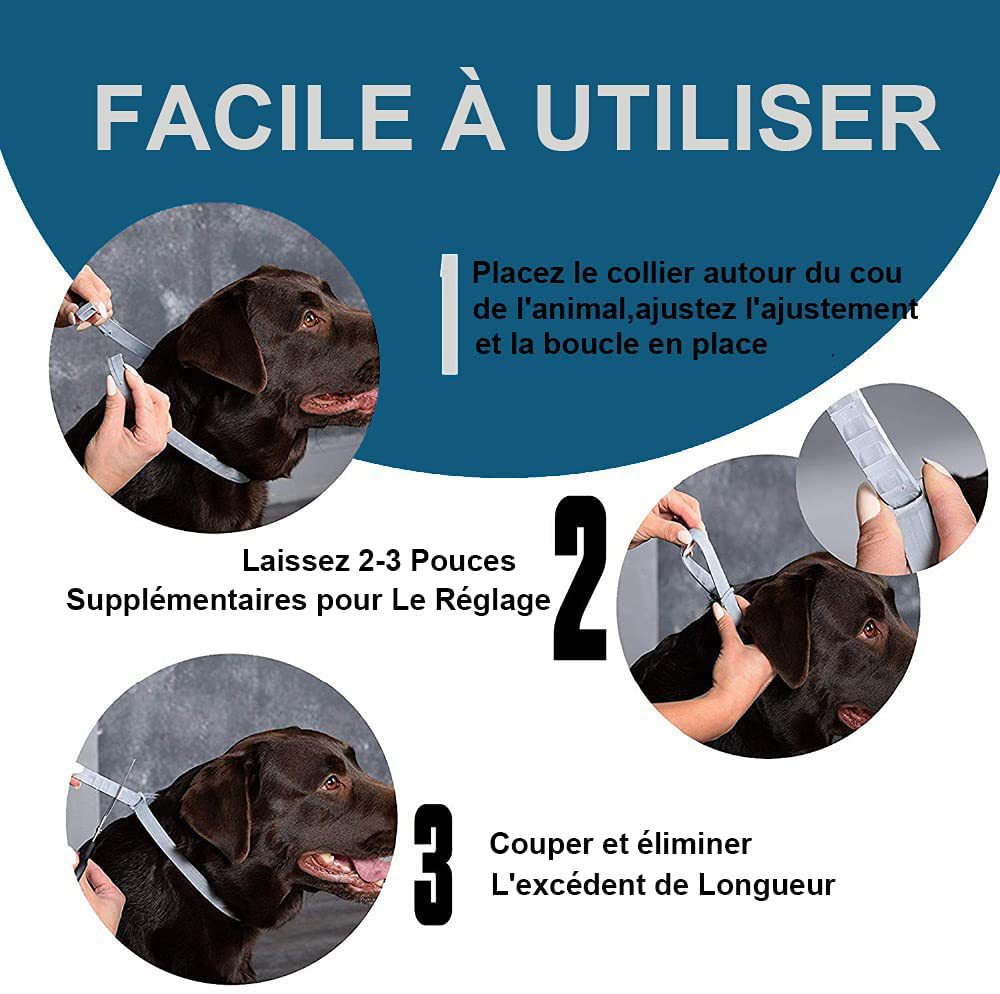 KFX-1421757 Rainbow Pet Flea and Anti-Lice Collar for Cats and Dogs - 38CM and 62CM Options