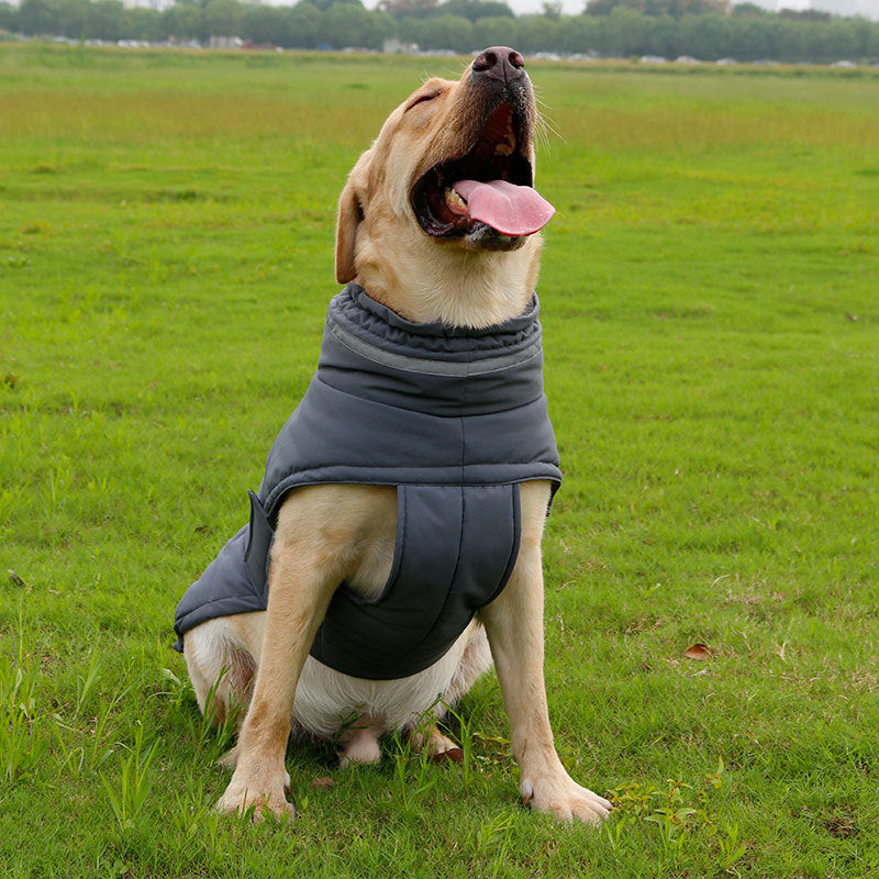 KFX-1425213 Winter Dog Coat for Large Breeds – Warm and Waterproof Trench for Corgis and Other Dogs