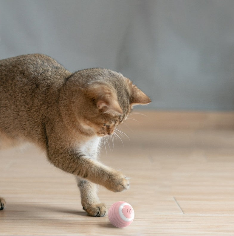 KFX-1426365 Rechargeable Automatic Smart Cat Toy Ball for Indoor Play – Bouncing & Rolling Fun for Kittens