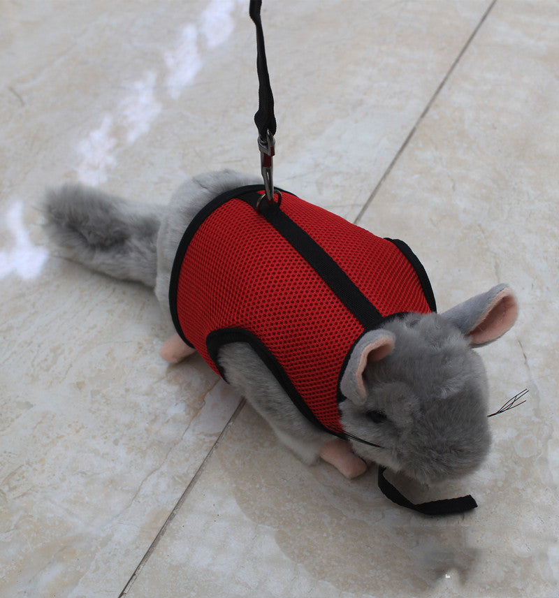KFX-1427005 Small Pet Leash for Comfortable Walking – Durable Nylon, Multiple Sizes Available