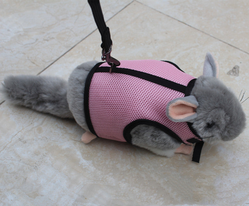 KFX-1427005 Small Pet Leash for Comfortable Walking – Durable Nylon, Multiple Sizes Available