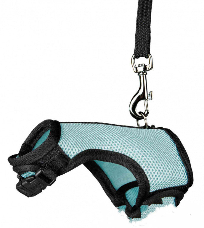 KFX-1427005 Small Pet Leash for Comfortable Walking – Durable Nylon, Multiple Sizes Available