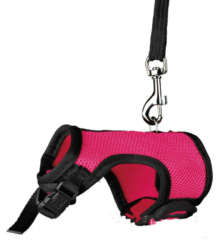KFX-1427005 Small Pet Leash for Comfortable Walking – Durable Nylon, Multiple Sizes Available