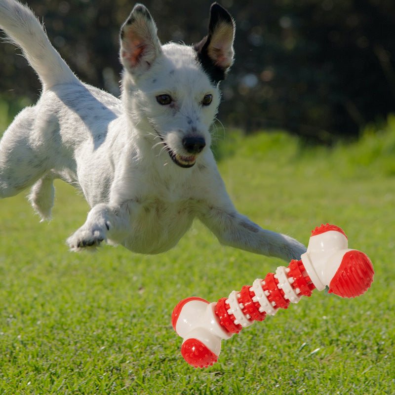 KFX-1428797 Bone-Shaped Interactive Dog Toy for Small Breeds - Chewable Teething Toy with Treat Holder for Training and Play