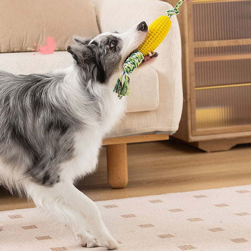KFX-1430077 Corn & Ball Dog Chew Toy Set for Teething Relief and Dental Health