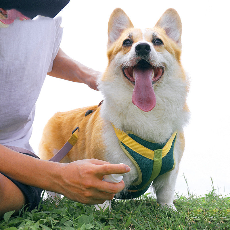 KFX-1430589 Colourful Cloth Harness and Leash Set for Pets with Adjustable Sizes XS to XL