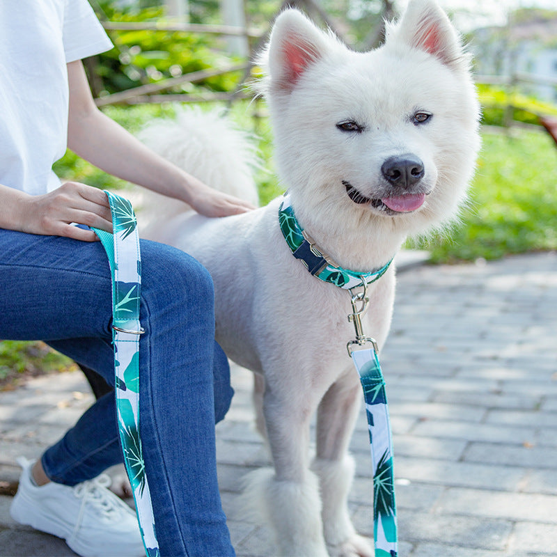 KFX-1431101 Durable Polyester Dog Collar and Traction Belt Set with Adjustable Lengths