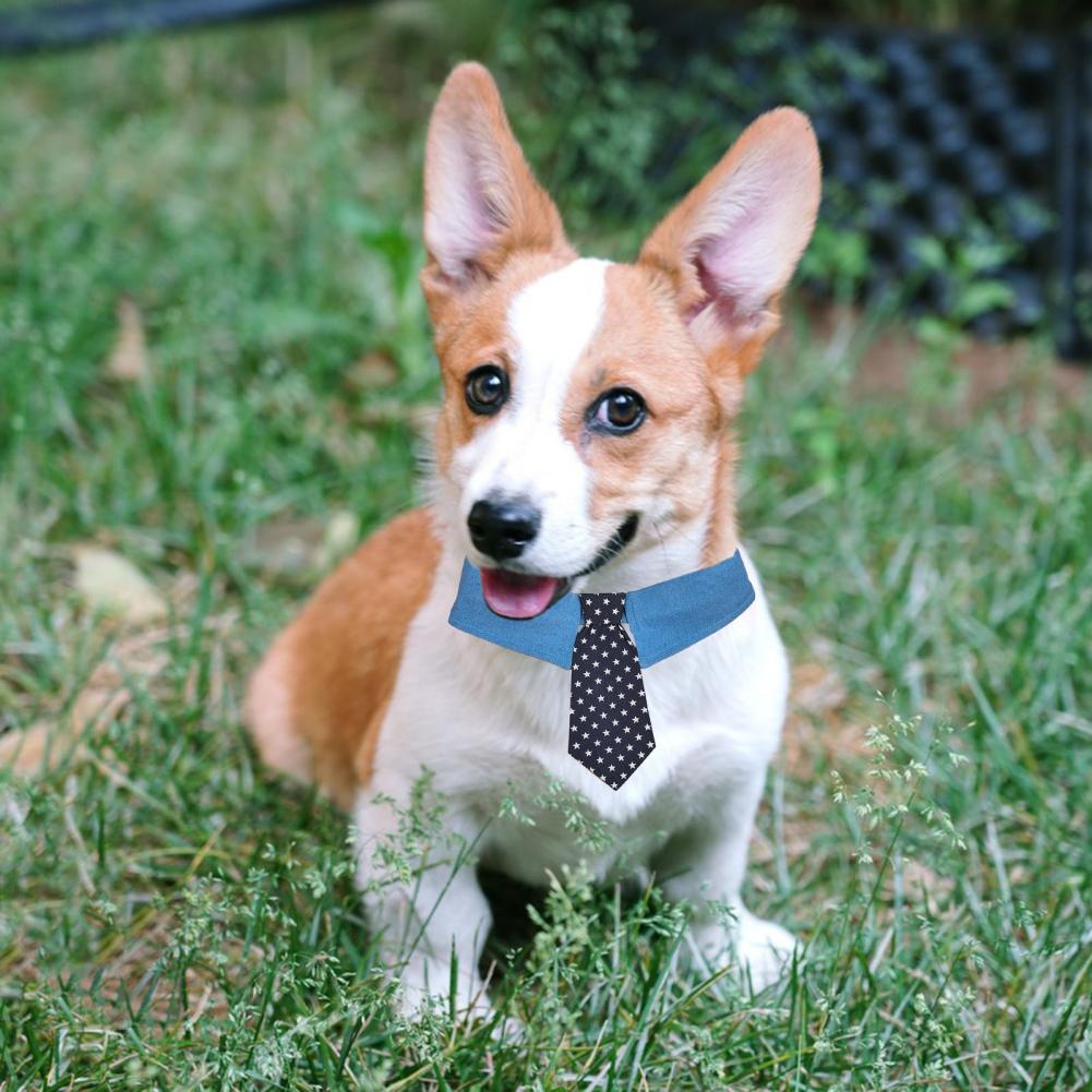 KFX-1432765 Adjustable Denim Pet Collar with Star Pattern - Comfortable Necktie for Special Occasions