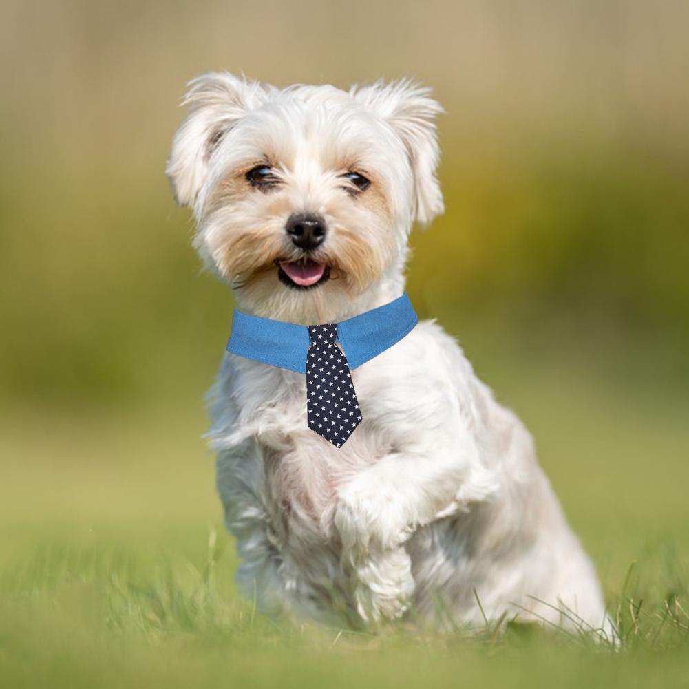 KFX-1432765 Adjustable Denim Pet Collar with Star Pattern - Comfortable Necktie for Special Occasions