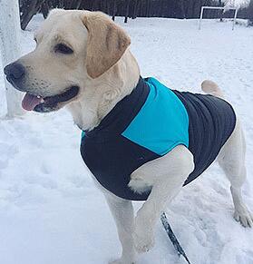 KFX-1435453 Breathable Dog Outdoor Coat for Autumn and Winter - Casual Vest in Multiple Sizes and Colors