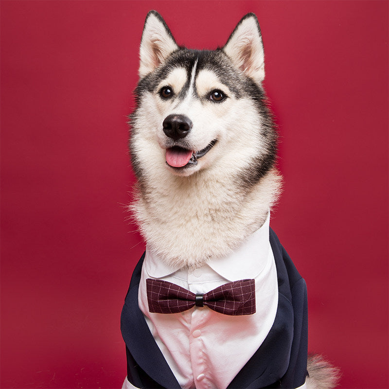 KFX-1436861 Navy Blue Swallowtail Dress Shirt for Dogs - Stylish Suit Design