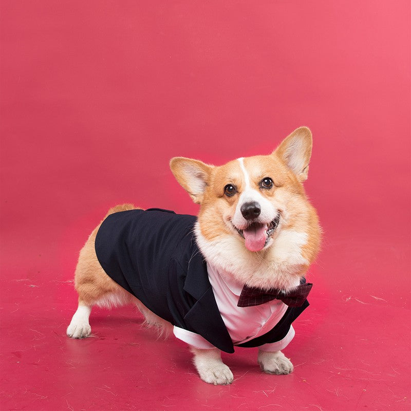 KFX-1436861 Navy Blue Swallowtail Dress Shirt for Dogs - Stylish Suit Design