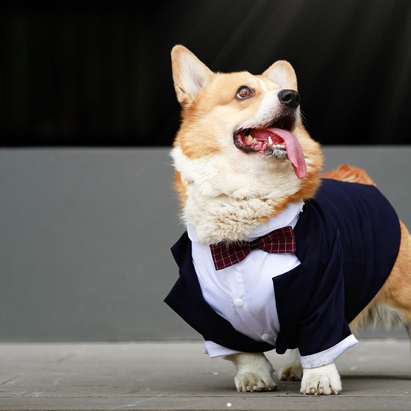 KFX-1436861 Navy Blue Swallowtail Dress Shirt for Dogs - Stylish Suit Design