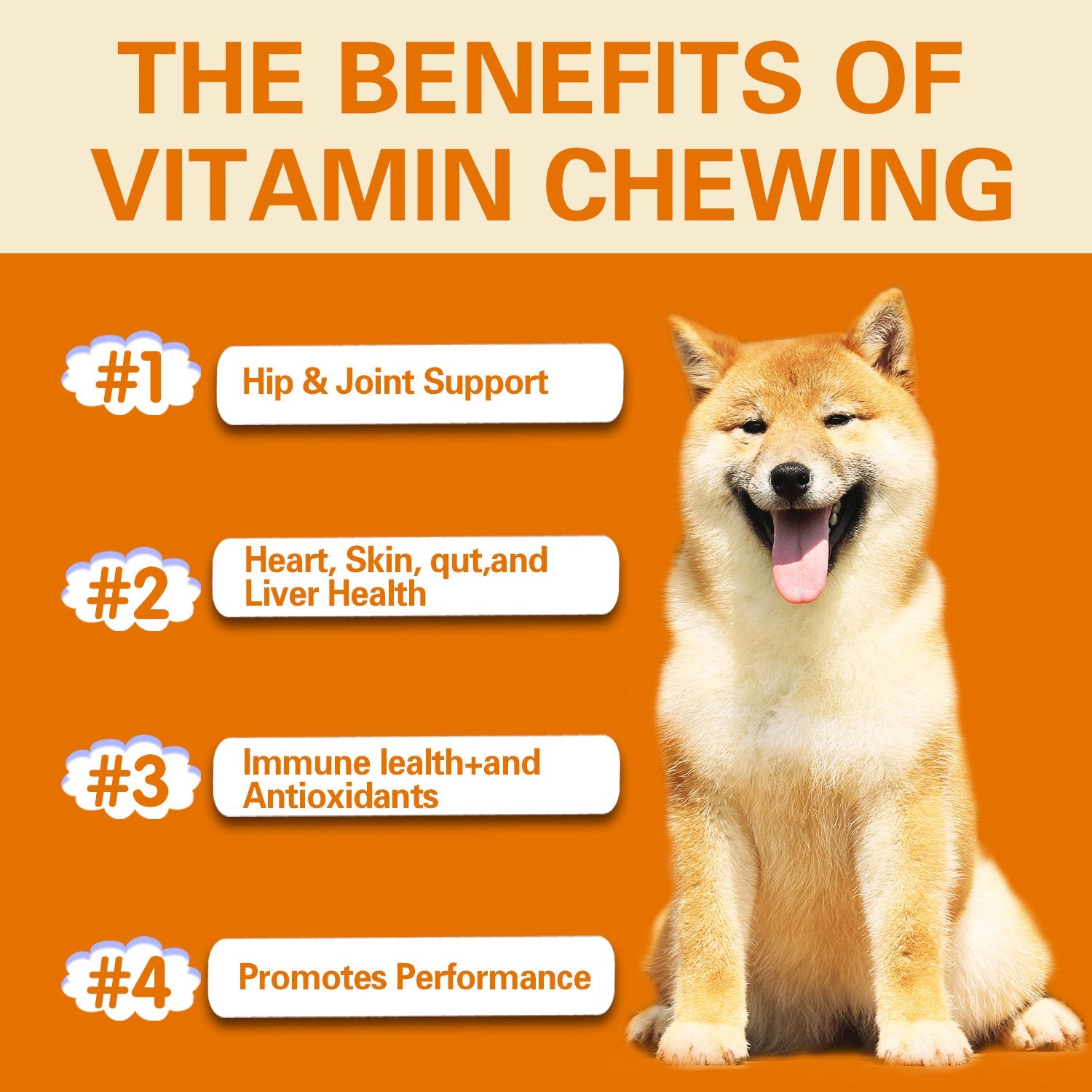 KFX-1437117 Multifunctional Health Supplement for Dogs - 300g Pet Vitamin Care