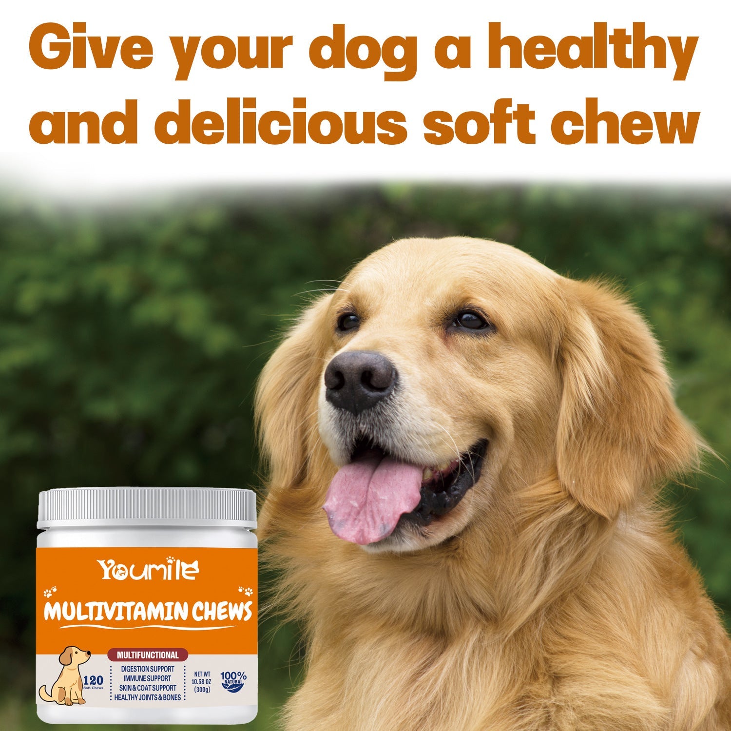 KFX-1437117 Multifunctional Health Supplement for Dogs - 300g Pet Vitamin Care