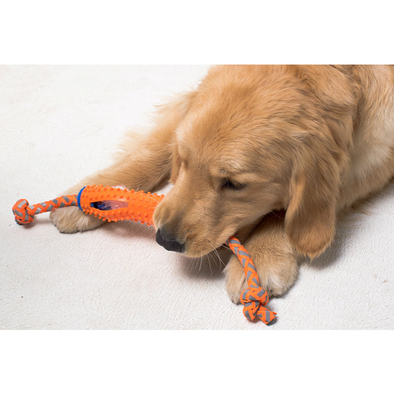 KFX-1437885 Soft Rubber Dog Toothbrush Stick for Effective Teeth Cleaning - 20cm, Available in Blue, Green, Orange, Pink