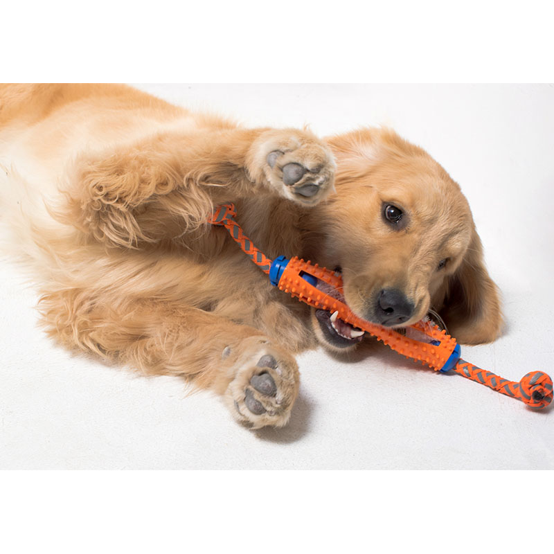 KFX-1437885 Soft Rubber Dog Toothbrush Stick for Effective Teeth Cleaning - 20cm, Available in Blue, Green, Orange, Pink