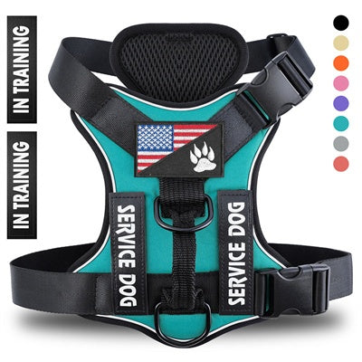 KFX-1446077 Reflective Adjustable Breathable Polyester Dog Strap for Optimal Comfort and Durability