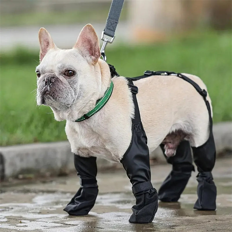 KFX-1449405 Waterproof Adjustable Dog Boots with Non-Slip Sole for Outdoor Protection and Comfort