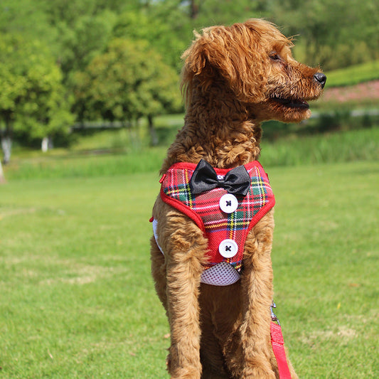 KFX-1451837 Elegant Bow Vest-Style Dress for Small Dogs with Adjustable Chest Strap and Leash