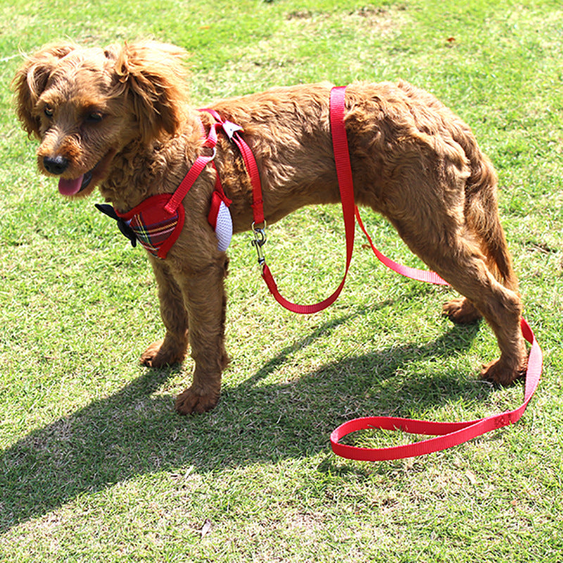 KFX-1451837 Elegant Bow Vest-Style Dress for Small Dogs with Adjustable Chest Strap and Leash
