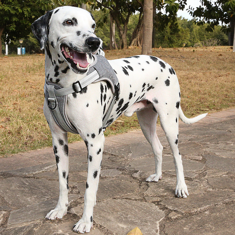 KFX-1457597 Reflective Adjustable Chest Strap for Dogs - High Density Nylon Material, Scalable Sizes S to XXL