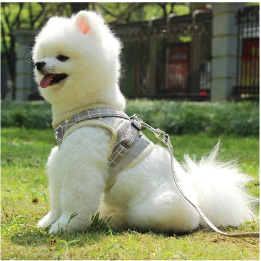 KFX-1458109 Lightweight Dog Traction Rope Vest with 1.2m Flat Rope in Multiple Colors for Small Breeds