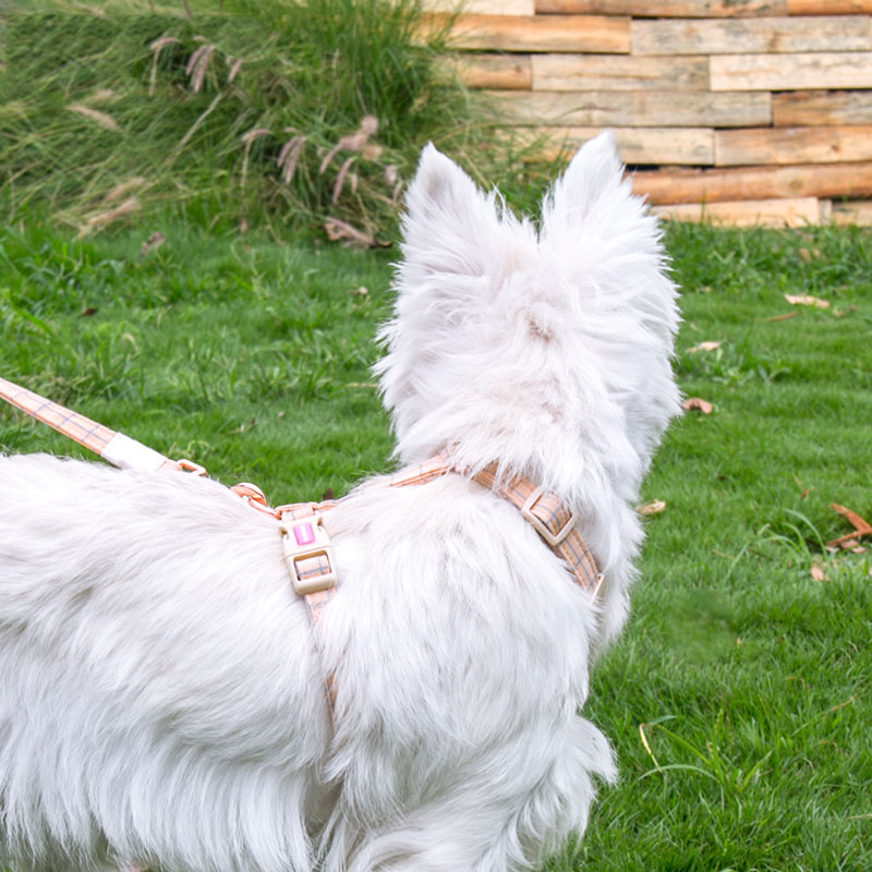 KFX-1463869 Pet Chest Harness and Leash with Lattice Design - Available in Plaid Orange and Matcha Green