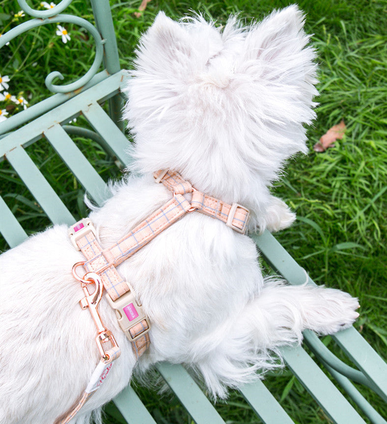 KFX-1463869 Pet Chest Harness and Leash with Lattice Design - Available in Plaid Orange and Matcha Green