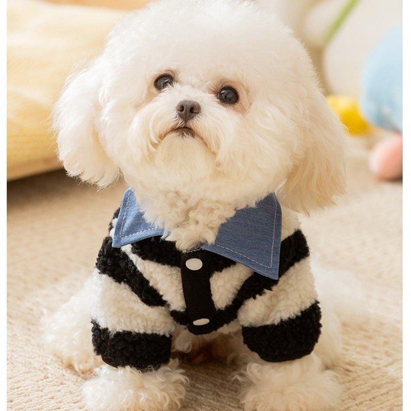 KFX-1468605 Cozy Winter Sweater with Leash Hole for Small Dogs and Cats in Striped Design