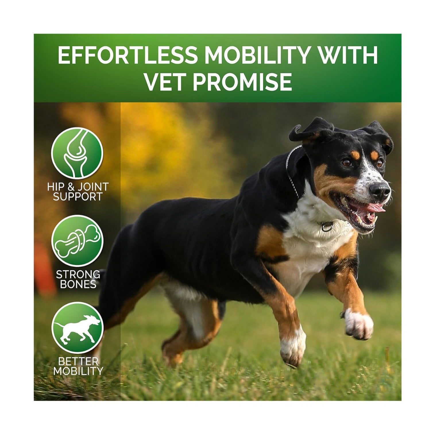 KFX-1469885 Hip & Joint Health Chewable Tablets for Pets with Chondroitin - 300g
