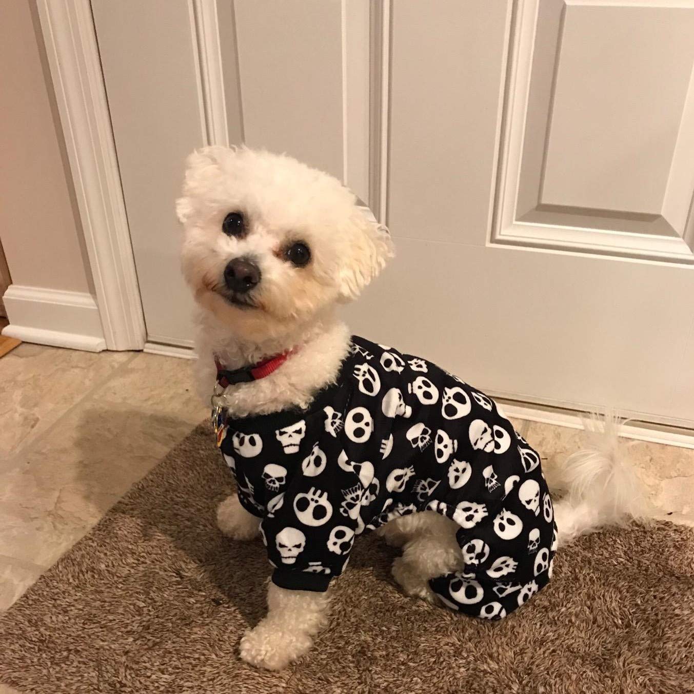 KFX-1473981 Cozy Polyester Dog Apparel - Four-Legged Sizes XS-XL for Comfort and Style