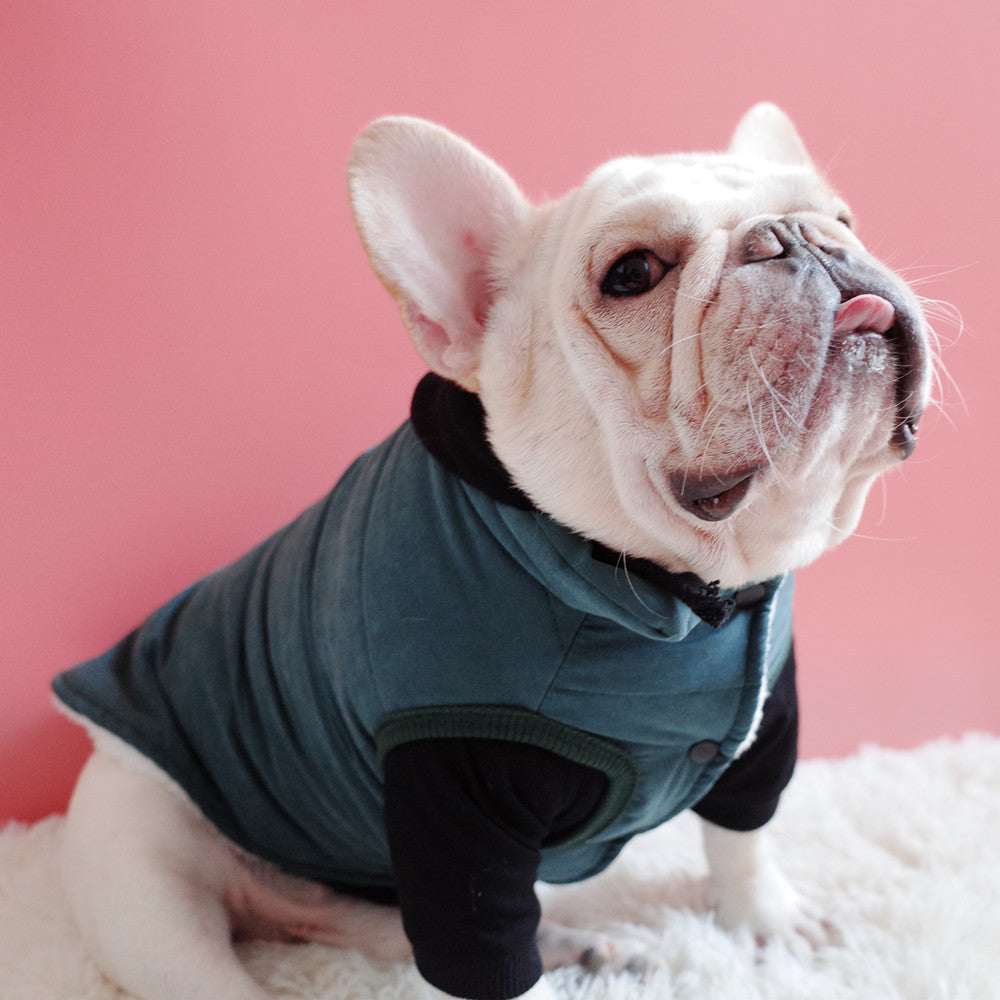 KFX-1474237 Warm Thickened Cotton Vest for Dogs in Dark Green, Navy Blue, Gray – Perfect Winter Wear