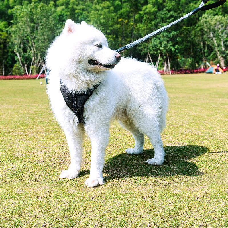 KFX-1479357 Adjustable Retractable Leash for Medium Dogs - 75cm to 150cm, Durable Nylon Towing Rope