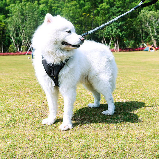 KFX-1479357 Adjustable Retractable Leash for Medium Dogs - 75cm to 150cm, Durable Nylon Towing Rope